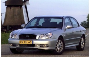 Tappetini Hyundai Sonata (2001 - 2005) Beige