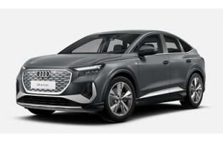 Le stuoie del pavimento, Linea Sportiva di Audi Q4 Sportback E-Tron (2021-presente)