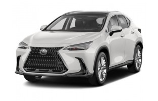 Lexus NX 2022 - presente